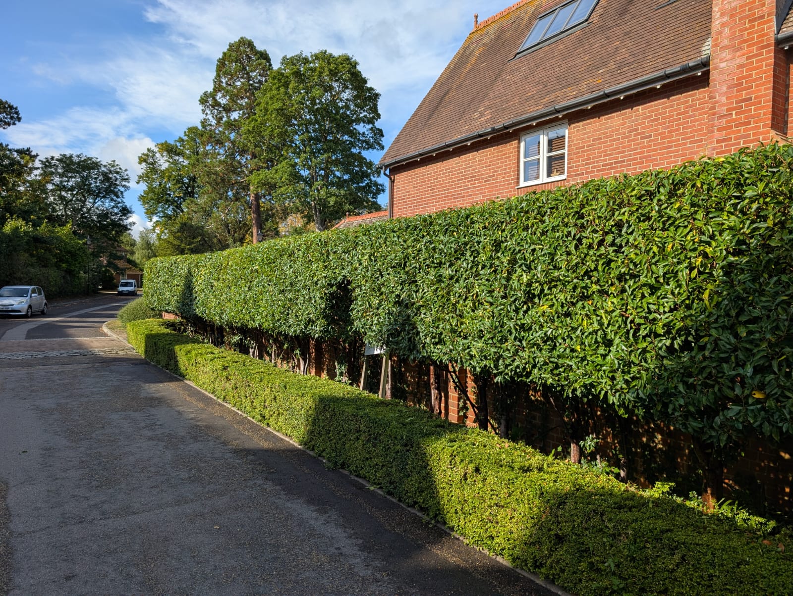 Garden and Grounds Maintenance